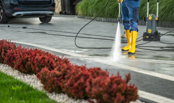Playground Equipment Cleaning in Ferndale, CA